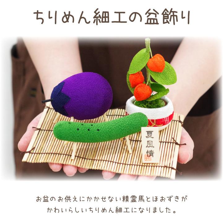 ペット用 お盆 ちりめん 精霊馬 ほおずき お盆飾り セット 国産 きゅうり なす お盆用品 かわいい ミニ 新盆 初盆 ペットロス ペット供養 犬 猫 うさぎ 57 57 F00ry016 ペット仏壇 仏具のディアペット 通販 Yahoo ショッピング