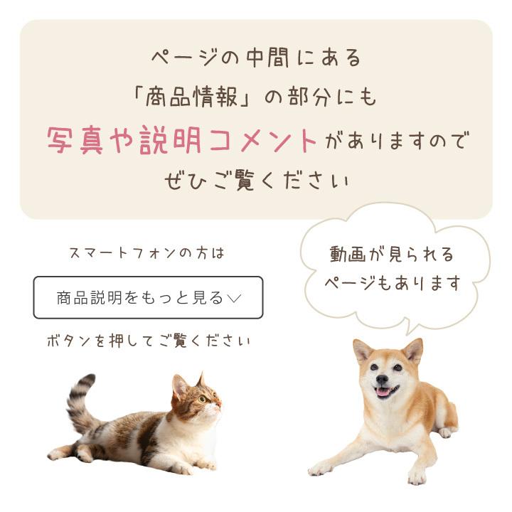 ペット位牌 クリスタル セレクトクリスタル ミニサイズ カラー かわいい 彫刻無料 ペット位牌 メッセージ 名入れ 動物 犬 猫 手元供養 F00sf13 ペット仏壇 仏具のディアペット 通販 Yahoo ショッピング