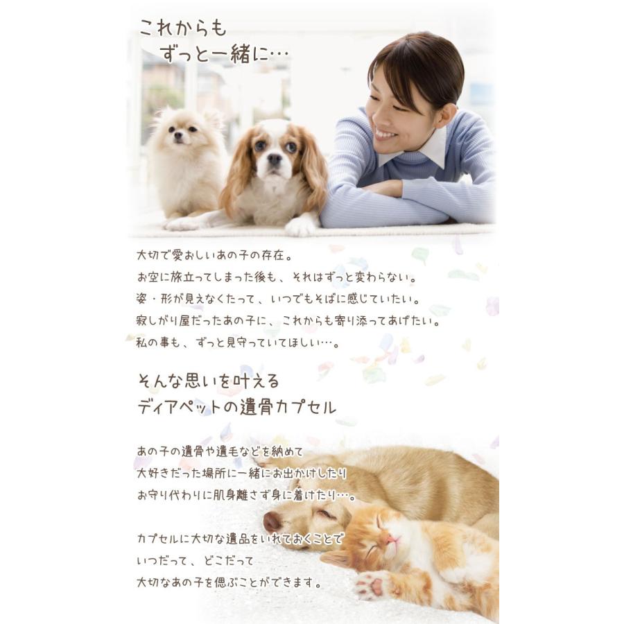 ペット 遺骨カプセル カラー 巾着 ガラス ボトル セット キーホルダー S ネコポス送料無料 F00skp ペット仏壇 仏具のディアペット 通販 Yahoo ショッピング