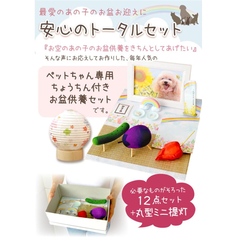 ペット 盆 まあるい提灯 お盆お迎えセット 犬 猫 うさぎ 丸形 コードレス 盆提灯 ミニ ペット提灯 ペット用 ちょうちん 新盆 お盆飾り お盆用品 F00ta01set2 ペット仏壇 仏具のディアペット 通販 Yahoo ショッピング
