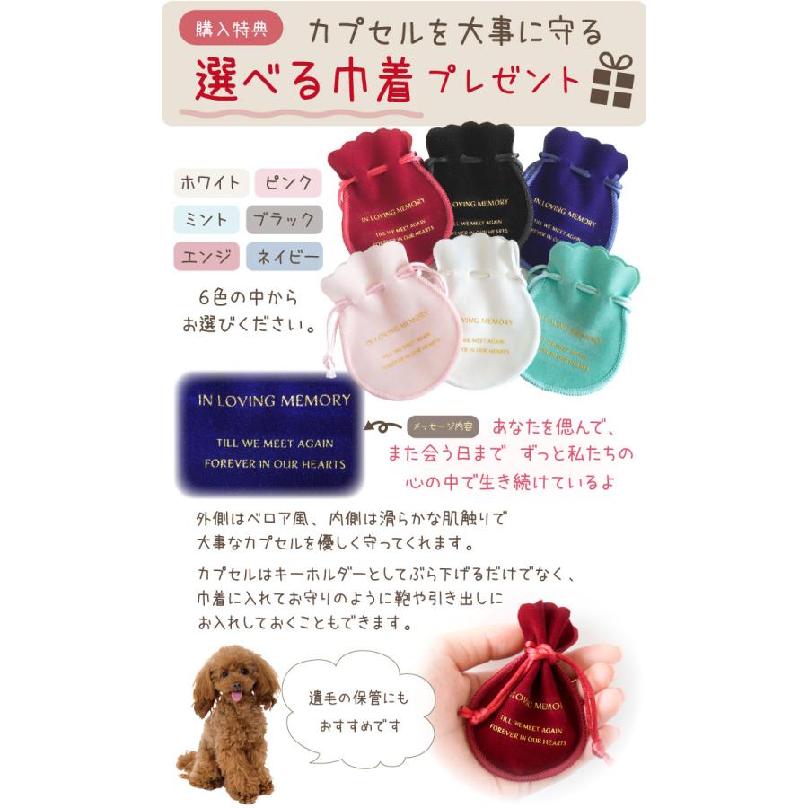 発売モデル ペット仏具 ミニ骨壷 遺骨カプセル メモリアルプチボトル アクセサリー 遺骨 ネコポス対応 巾着付き