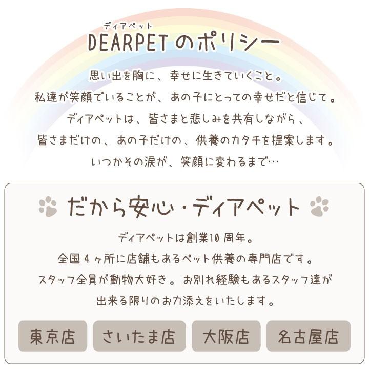 ペット仏具 かわいい ポメラニアン 名前入り ドッグ プレート F00vi18 ペット仏壇 仏具のディアペット 通販 Yahoo ショッピング