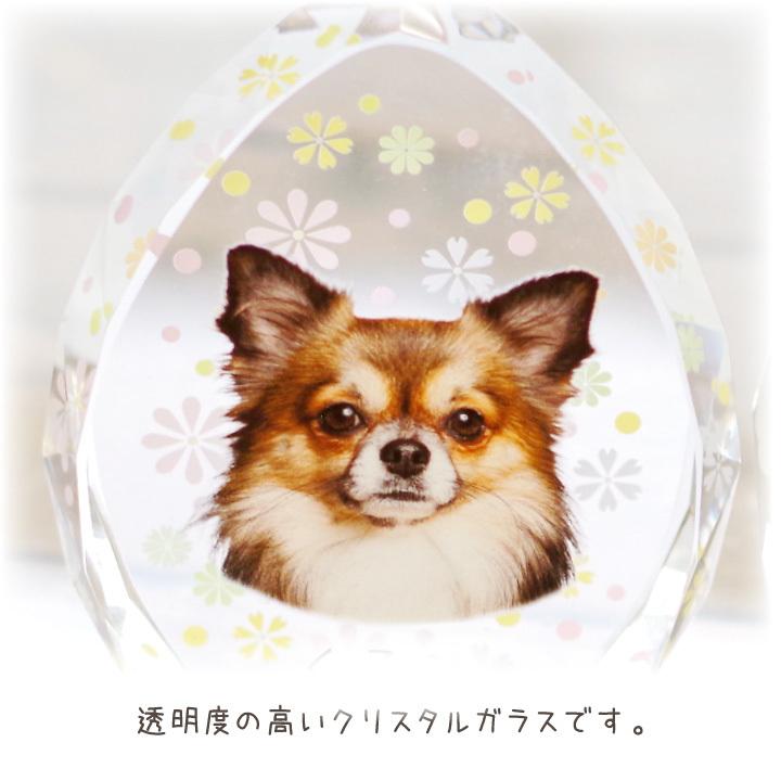 ペット 位牌 フルール クリスタルDP 両面タイプ 特製BOX付 ペットメモリアル ペット供養 犬 猫 うさぎ 小動物 ガラス かわいい きれい おしゃれ 透明 :lu0002dp2:ペット仏壇・仏具のディアペット - 通販 - Yahoo!ショッピング ペット 位牌 フルール クリスタルDP 両面タイプ 特製BOX付 ペットメモリアル ペット供養 犬 猫 うさぎ 小動物 ガラス かわいい きれい おしゃれ 透明 :lu0002dp2:ペット仏壇・仏具のディアペット - 通販 - Yahoo!ショッピング