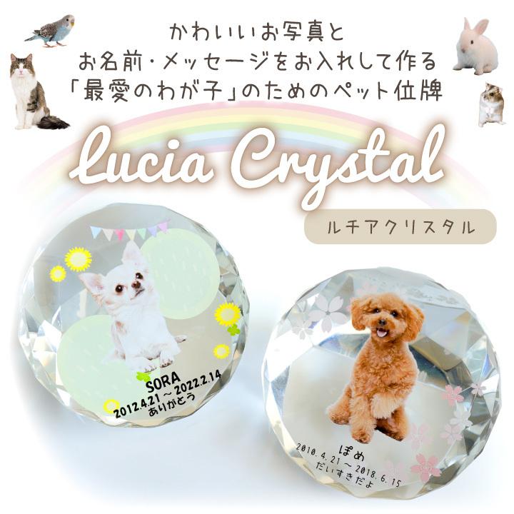 ペット 位牌 ルチアクリスタル 写真 爆買い送料無料 名前 年月日 メッセージ 特製box付 虹 キラキラ ガラス 猫 犬 かわいい ペット位牌 うさぎ おしゃれ 花 星 小動物