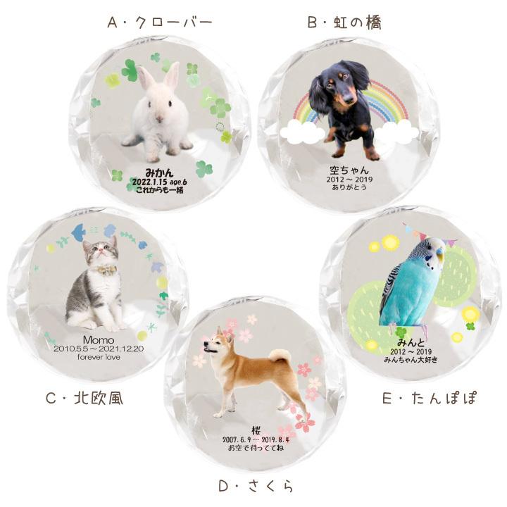 ペット 位牌 ルチアクリスタル 写真 爆買い送料無料 名前 年月日 メッセージ 特製box付 虹 キラキラ ガラス 猫 犬 かわいい ペット位牌 うさぎ おしゃれ 花 星 小動物