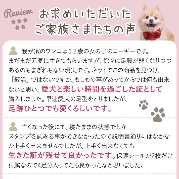 素晴らしい価格 ペット用 足あと スタンプ キット 足型 記念 足跡 汚れない スタンプパッド 足跡パッド 肉球拓 ネコポス対応 Whitesforracialequity Org