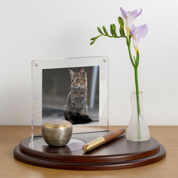 ペット仏壇 エフ 写真立て 花立て セット ステージ仏壇 ペット仏具 花瓶 一輪挿し 写真 フォトフレーム おしゃれ オープン ミニ コンパクト ペット供養 O Ss1111 ペット仏壇 仏具のディアペット 通販 Yahoo ショッピング