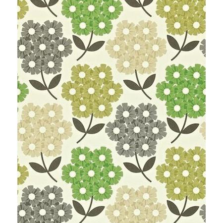人気が高い 輸入壁紙 Orlakiely オーラカイリー Rhododendron 花柄 インテリアショップ デコール 通販 Yahoo ショッピング 最先端 Blog Lonolife Com