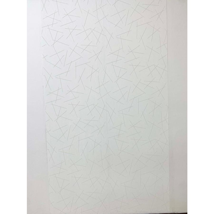 輸入壁紙 クロス ワルパ　新品ラッシュロール2本 リフォーム DIY 輸入壁紙 クロス ワルパ 新品ラッシュロール2本 リフォーム DIY