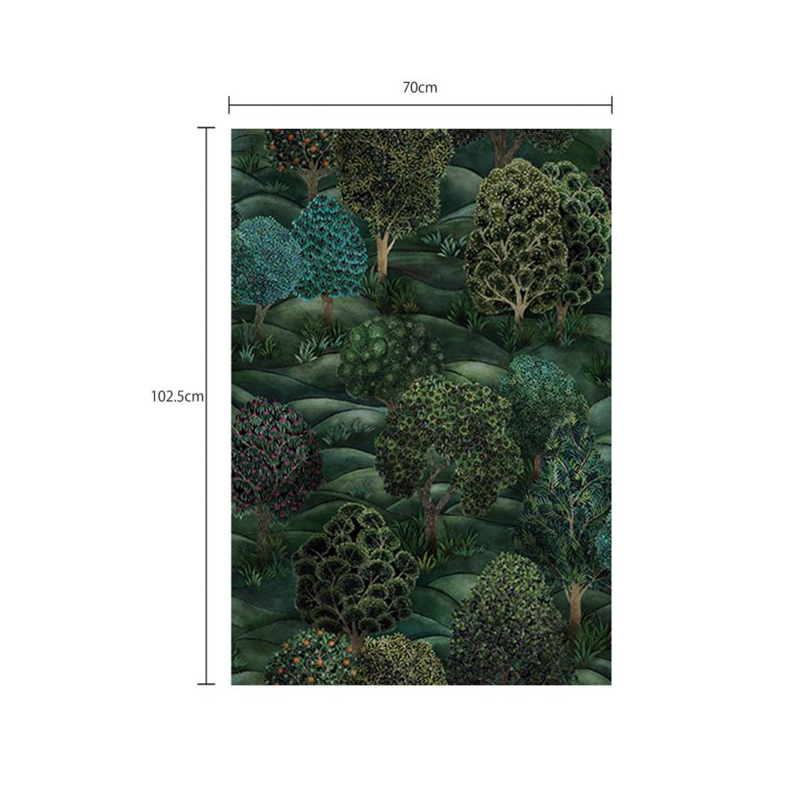 森 フォレスト イギリス 英国 ボタニカル Cole＆Son コール&サン 115/9028 貼り換え リノベ DIY 自分で 不織布 テシード 短納期 70cm巾_6