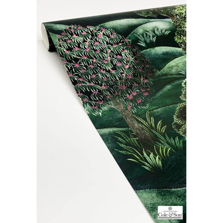 森 フォレスト イギリス 英国 ボタニカル Cole＆Son コール&サン 115/9028 貼り換え リノベ DIY 自分で 不織布 テシード 短納期 70cm巾_5