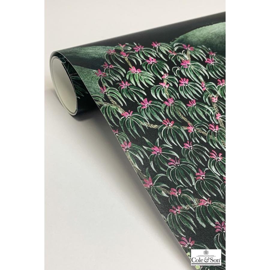 森 フォレスト イギリス 英国 ボタニカル Cole＆Son コール&サン 115/9028 貼り換え リノベ DIY 自分で 不織布 テシード 短納期 70cm巾_4