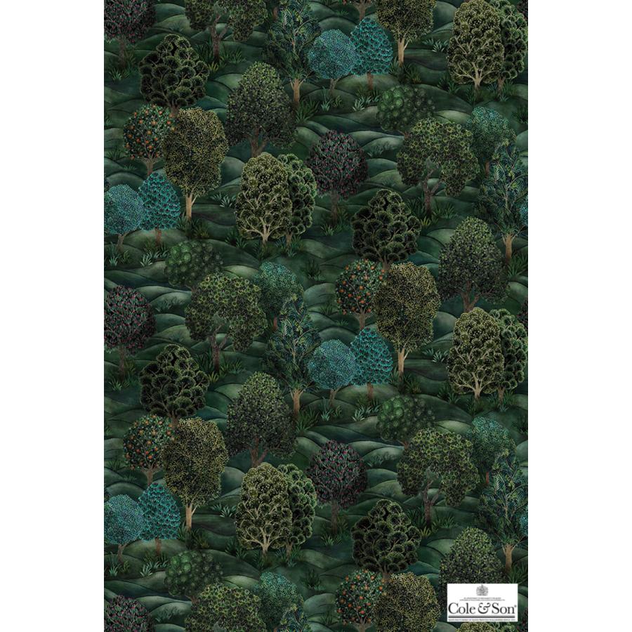 森 フォレスト イギリス 英国 ボタニカル Cole＆Son コール&サン 115/9028 貼り換え リノベ DIY 自分で 不織布 テシード 短納期 70cm巾_3