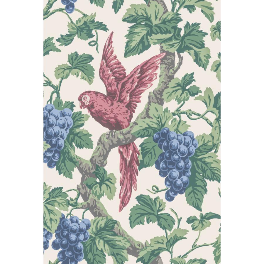 ぶどう 葡萄 鳥 オウム 植物 ボタニカル ホテル Cole＆Son コール&サン