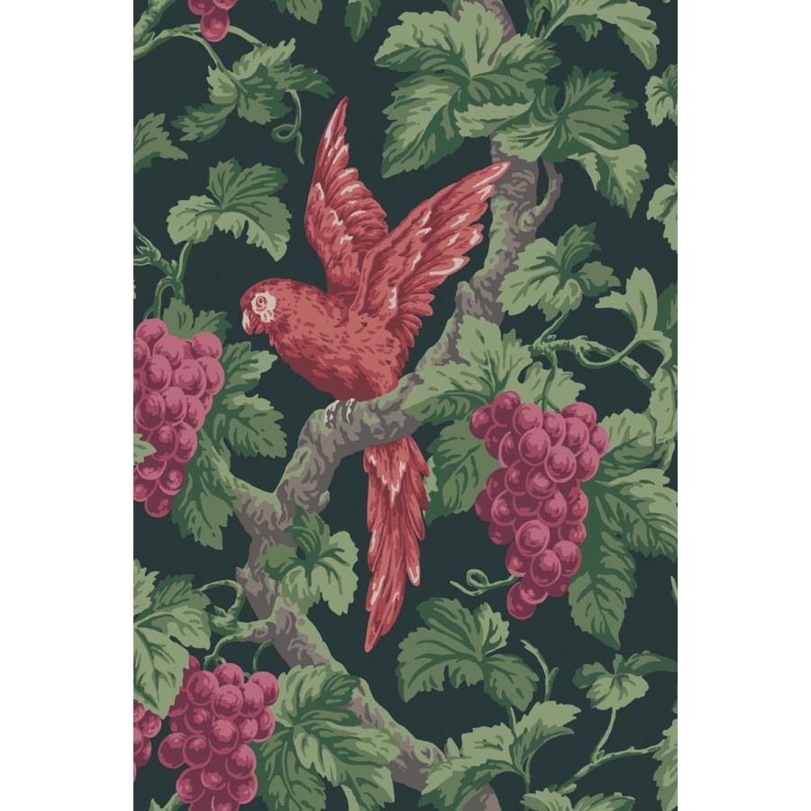 ぶどう 葡萄 鳥 オウム 植物 ボタニカル ホテル Cole＆Son コール&サン
