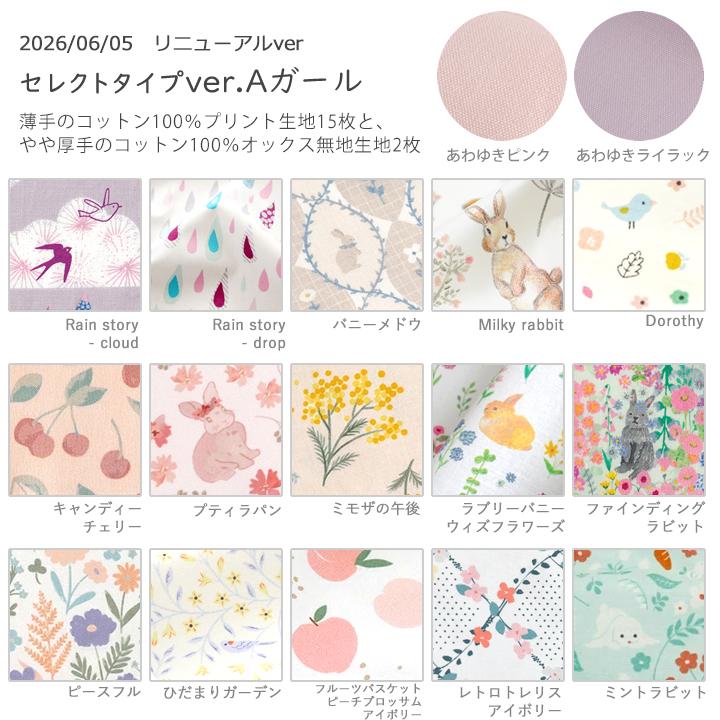 デコレクションズ 【北欧柄リニューアル！】生地はぎれ選べるはぎれ