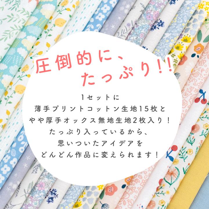 デコレクションズ 【北欧柄リニューアル！】生地 はぎれ 選べる
