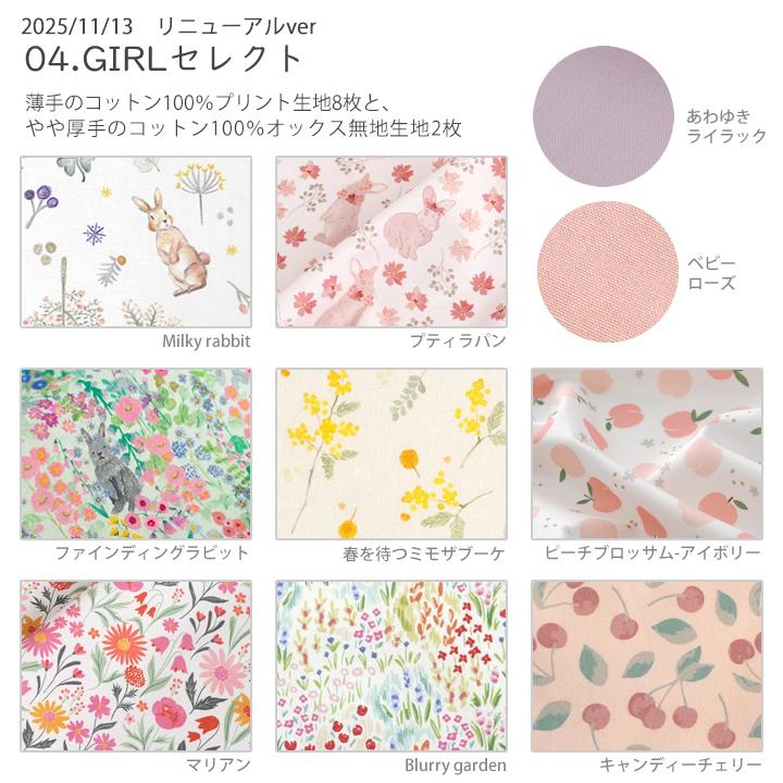 デコレクションズ 【北欧柄リニューアル！】大きめサイズのはぎれ