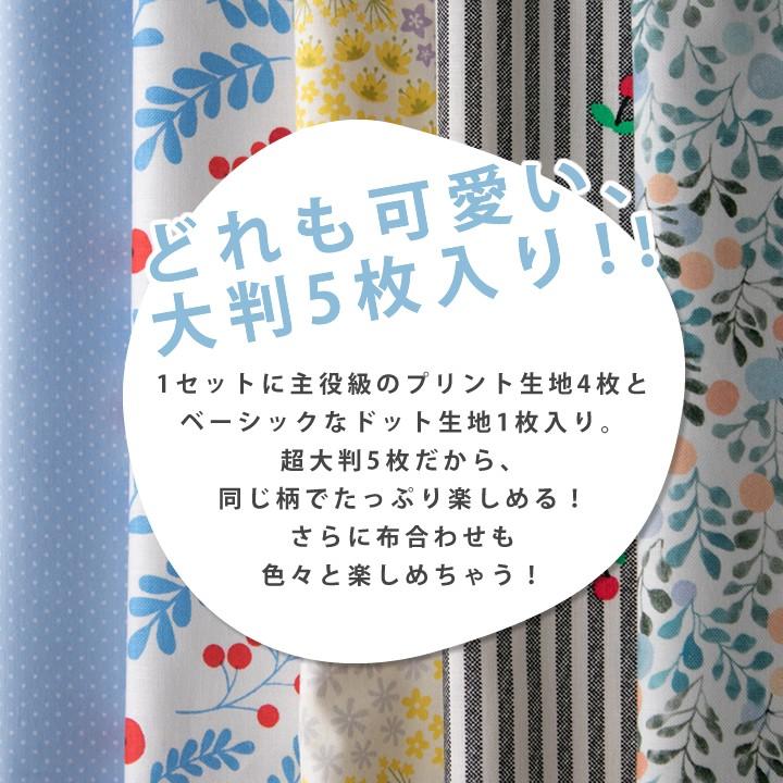 さらに大きめはぎれセット 人気手芸作家様のレシピ付き メール便対応 Hagire10 Big デコレクションズ Yahoo 店 通販 Yahoo ショッピング