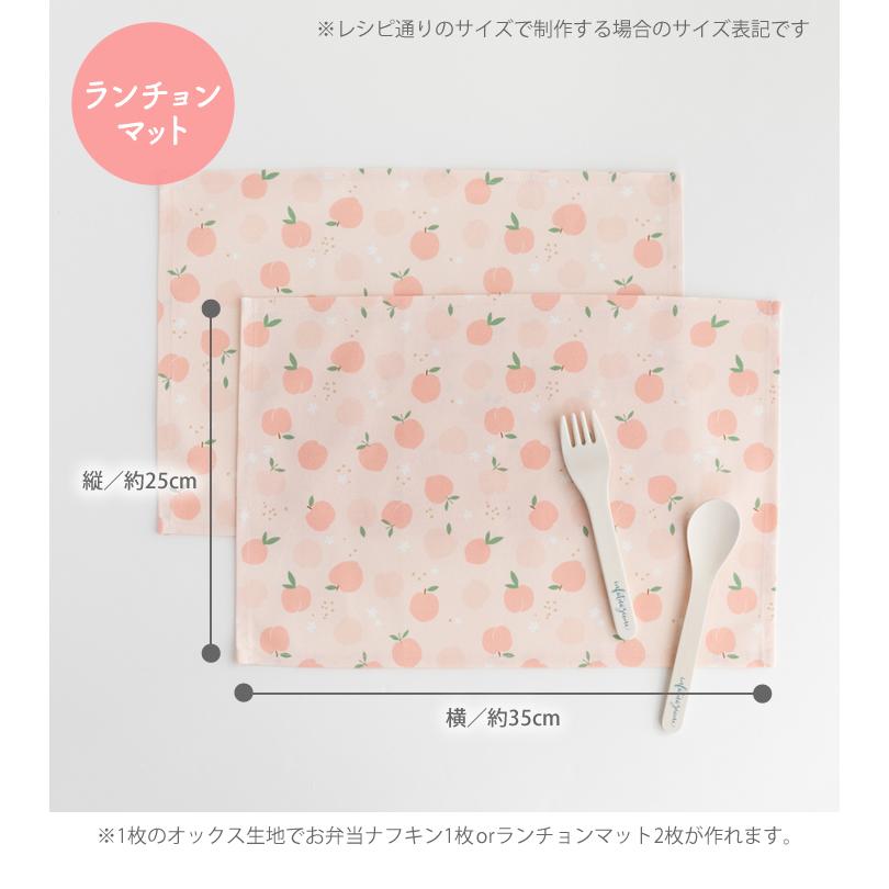 デコレクションズ 手作りキット≪タイプをチョイス2組作れるランチ
