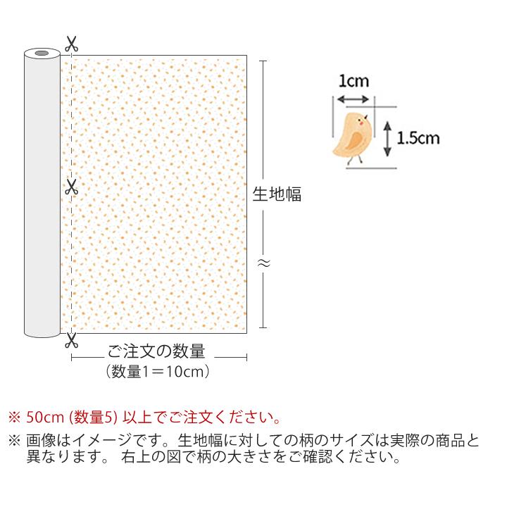 デコレクションズ ☆6/25am08:59まで☆生地・布・入園入学≪Organic