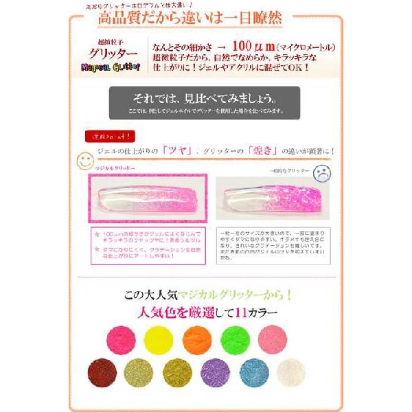 ネコポス送料無料]高品質マジカルグリッターと丸型ホログラム13種