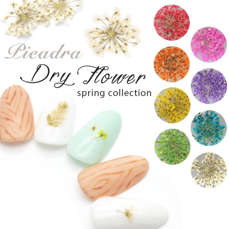 ネコポス 買得 送料無料 ドライフラワー Shareydva 旧 Pieadra 押し花ネイル フラワー ジェルネイル 春ネイル レジン 花柄 ネイルアート おうち時間
