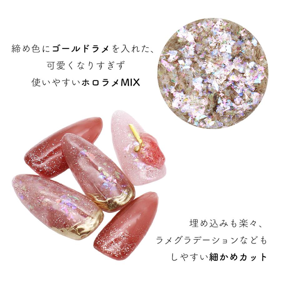 ジェルネイル ネイルタウン ネイルパウダー 乱切りオーロラホロ&ラメ