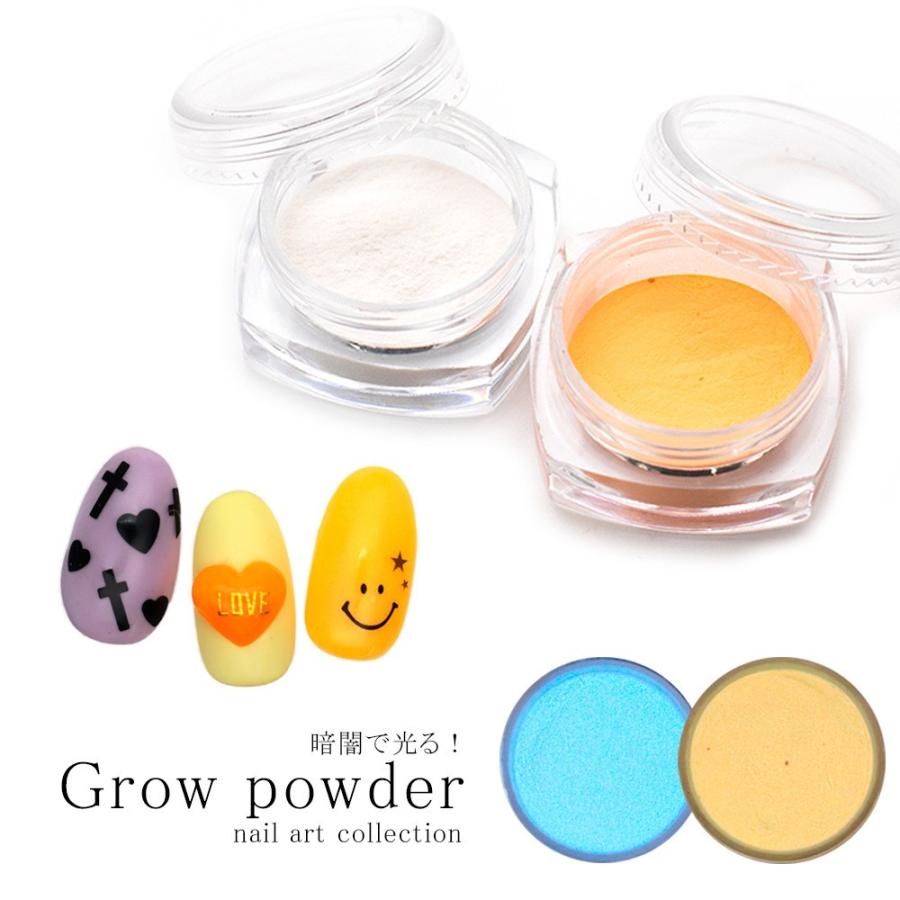 ネコポス送料無料 ネイルアート 蓄光パウダー ブルー オレンジ 約2 5ｇ入り おうち時間 ジェルネイル ネイルタウン Paypayモール店 通販 Paypayモール