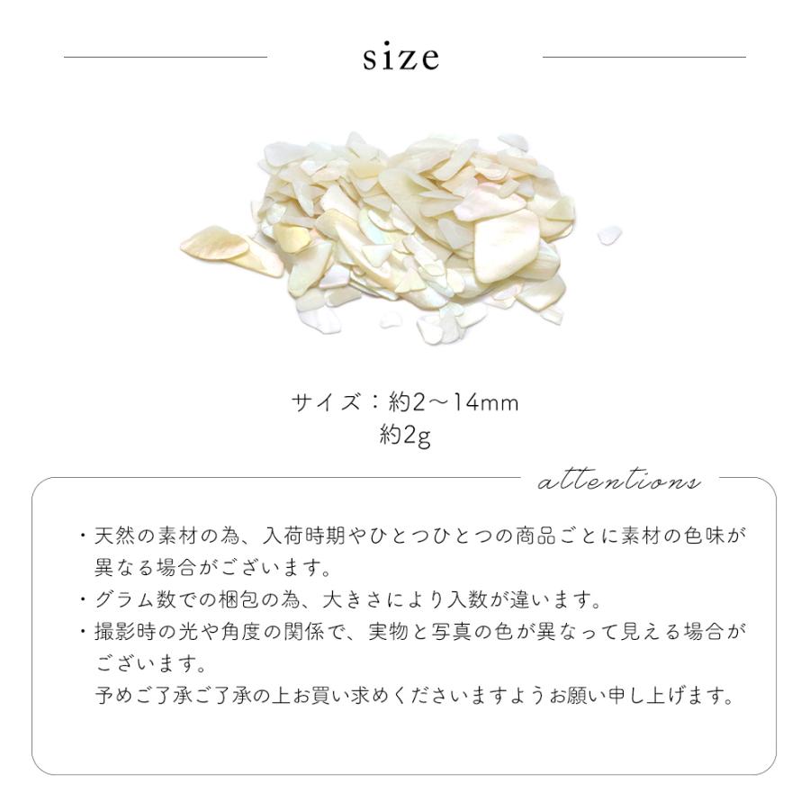 ジェルネイル ネイルタウン ネイルパーツ スィンシェルストーン 全6種