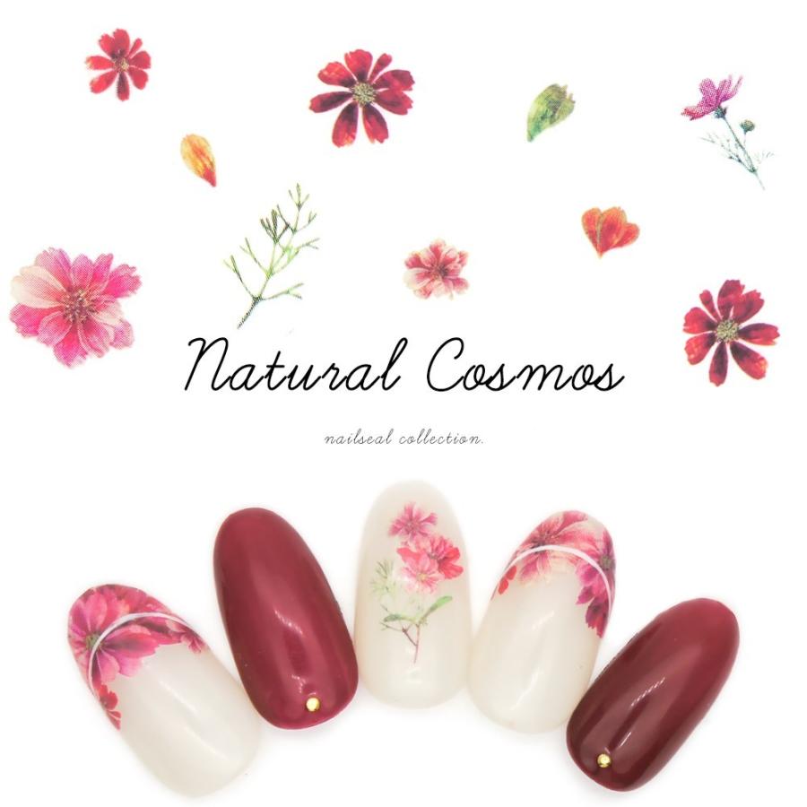 ネコポス送料無料 ネイルシール ナチュラルコスモスシール Mg200411 03 おうち時間 フットネイル ネイルタウン Paypayモール店 通販 Paypayモール