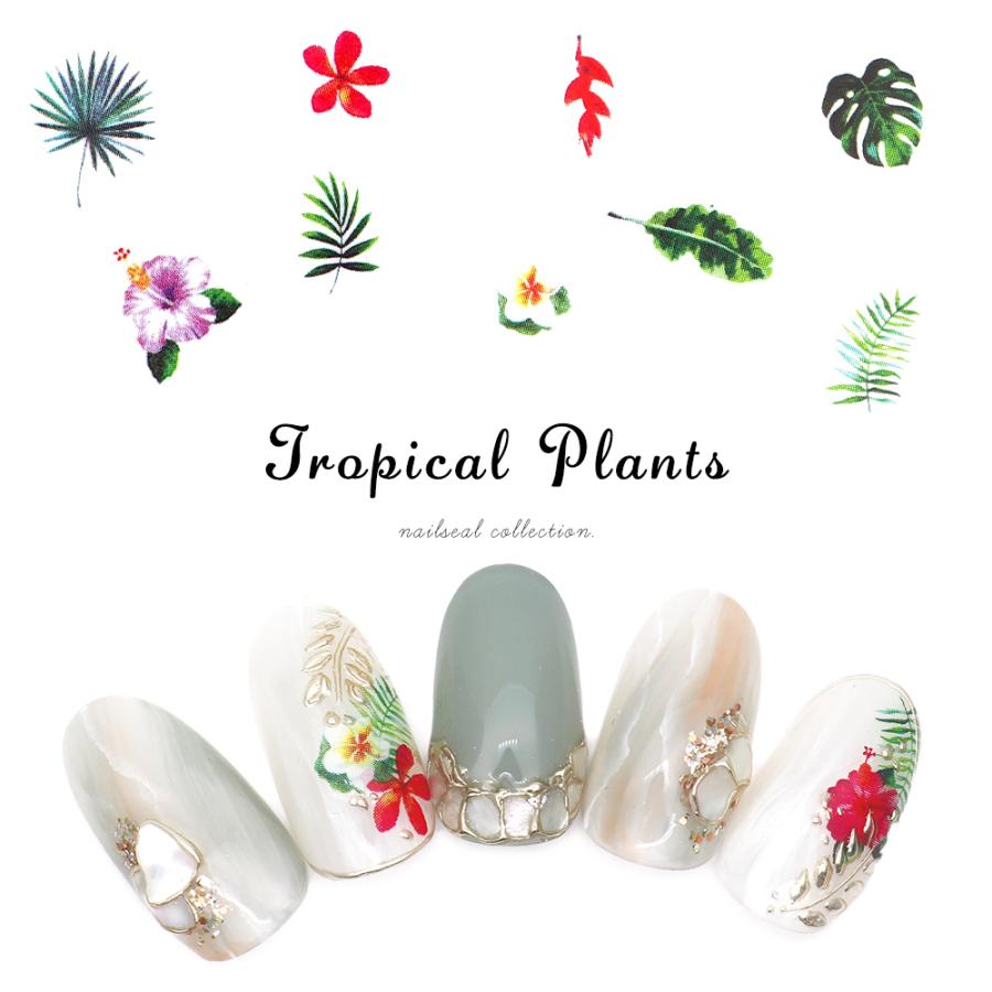 ネコポス送料無料 ネイルシール トロピカルプラントシール Jo 1645 ジェルネイル おうち時間 Ne Sl 7 ネイルタウン Nailtown 通販 Yahoo ショッピング