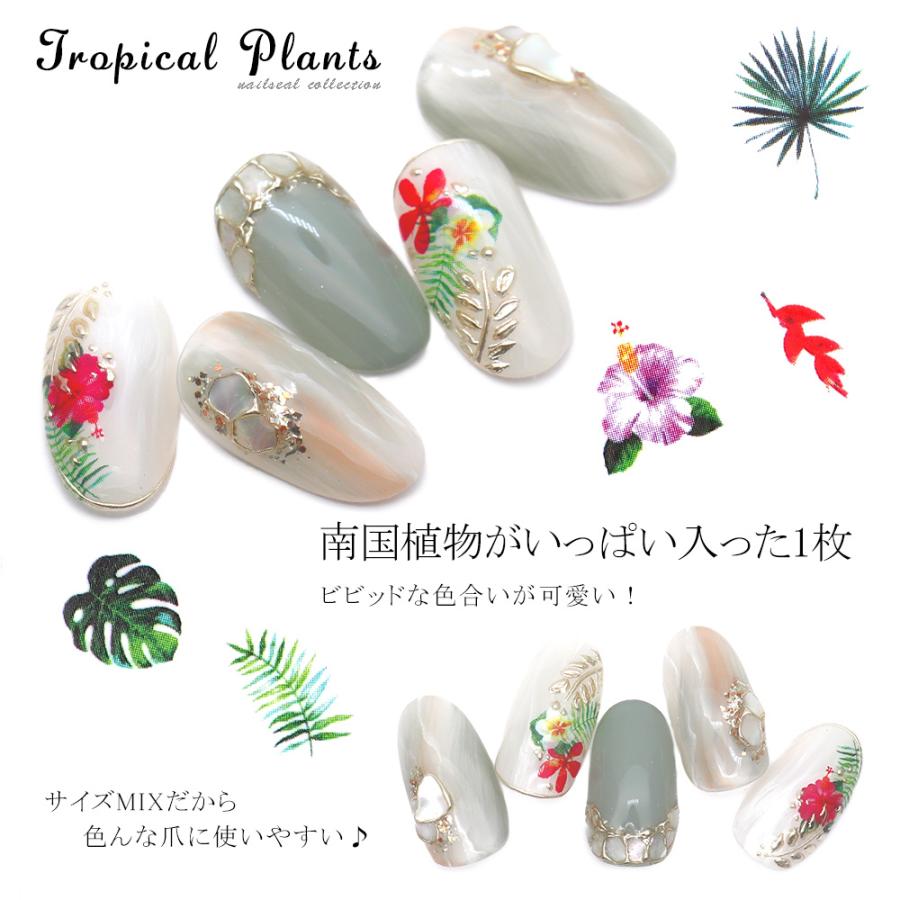 ネコポス送料無料 ネイルシール トロピカルプラントシール Jo 1645 ジェルネイル おうち時間 Ne Sl 7 ネイルタウン Nailtown 通販 Yahoo ショッピング