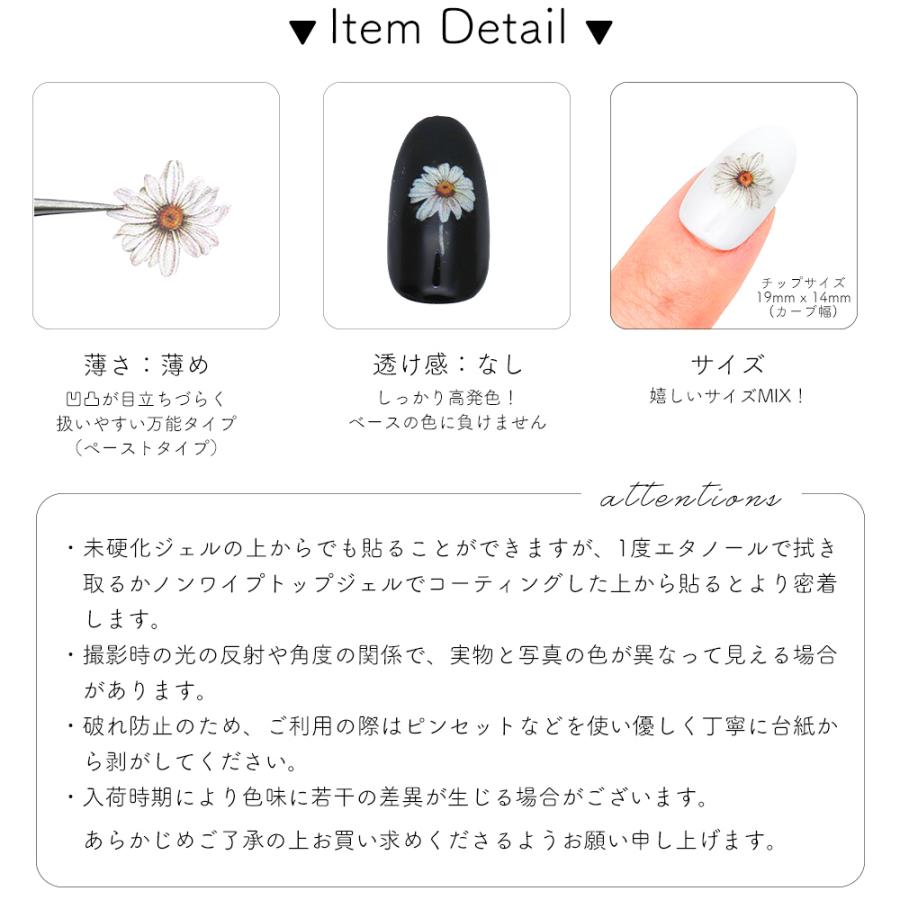 ジェルネイル ネイルタウン ネイルシール マーガレット＆バタフライ