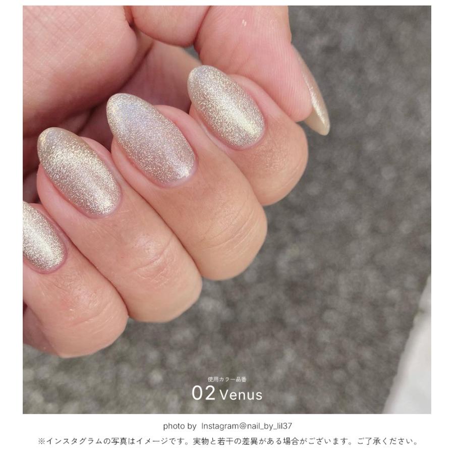 NAILTOWN（ネイルタウン） 輝くマグネット粒子 ジェルネイル