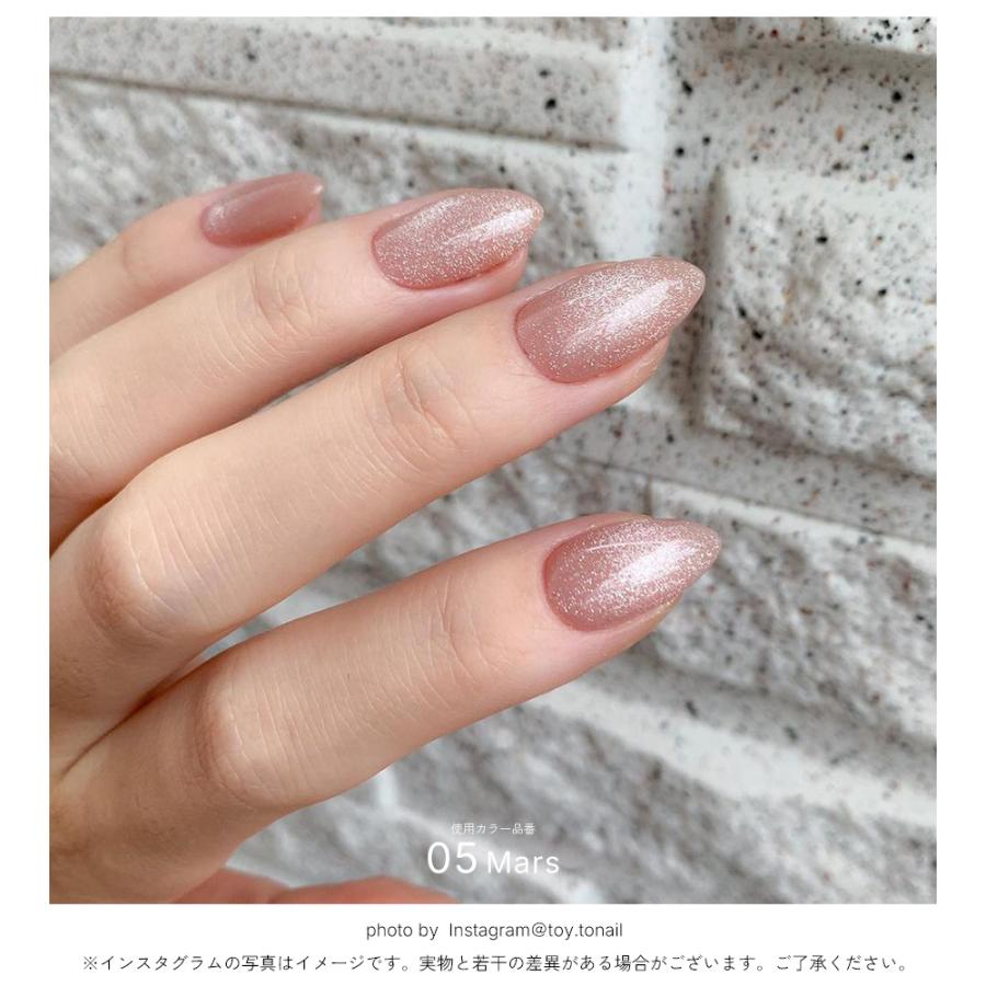 NAILTOWN（ネイルタウン） 輝くマグネット粒子 ジェルネイル