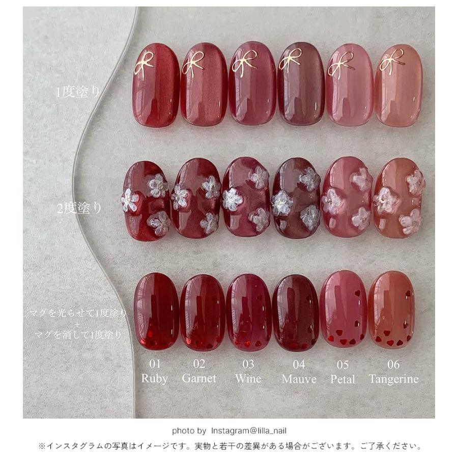 NAILTOWN [ネコポス送料無料]輝く粒子 マグネットネイル ネイル