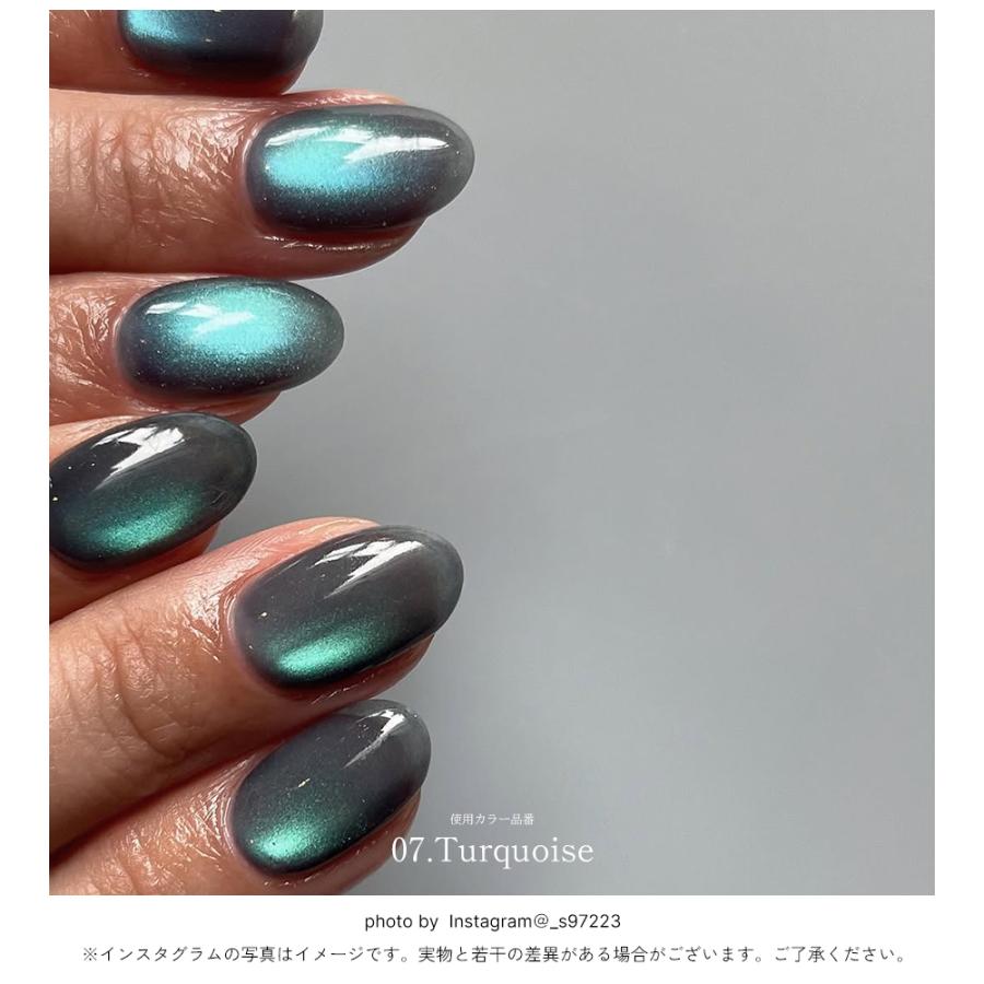 NAILTOWN（ネイルタウン） 微粒子マグネット ジェルネイル ポリッシュ