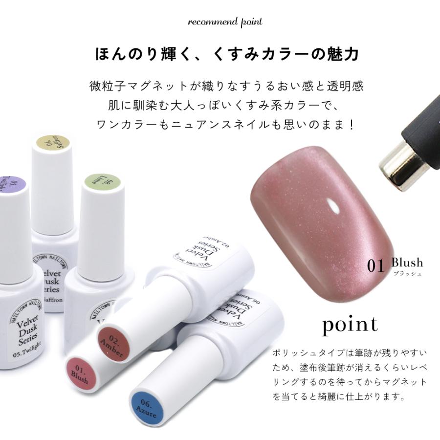 ネイルベット XEIJAYI 10 ミリリットルブルー磁気ジェル反射グリッターセラミック