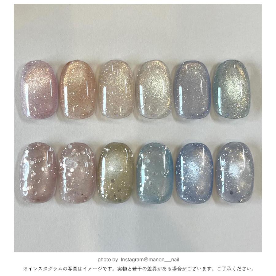 NAILTOWN ネイルタウン 『Galaxy mag』 12色セット NAILTOWN（ネイルタウン） HEMA free TPO free マグネットネイル