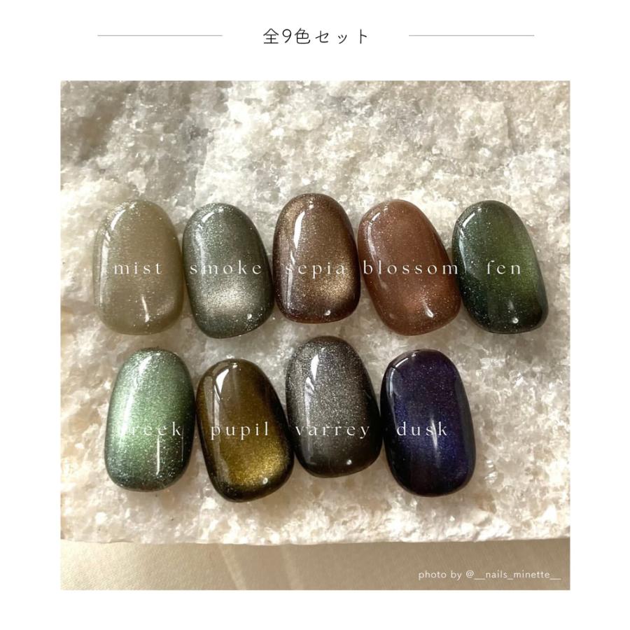 NAILTOWN [ネコポス送料無料] ネイルタウンジェル