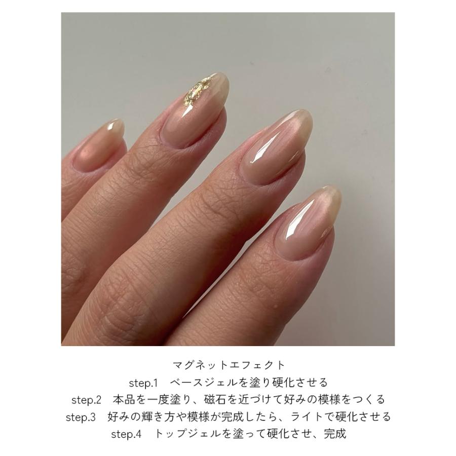 NAILTOWN 【アウトレット品】超微粒 マグネットネイル ネイル