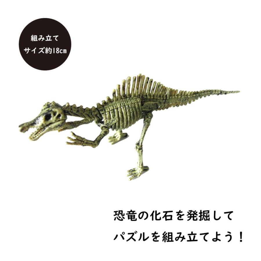 知育玩具 恐竜発掘キット スピノサウルス 科学工作 化石 自由研究 考古学者 恐竜 Wwd Toy Dfg 003 Smile Plus 通販 Yahoo ショッピング