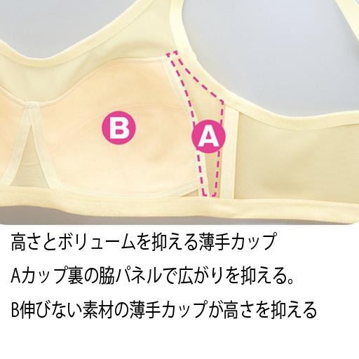 ボリュームを抑えるフルカップブラジャー(ワイヤーなし) レディース下着 ブラジャー ノンワイヤーブラ 薄手フルカップ (ポスト投函 送料無料)｜decora10｜02