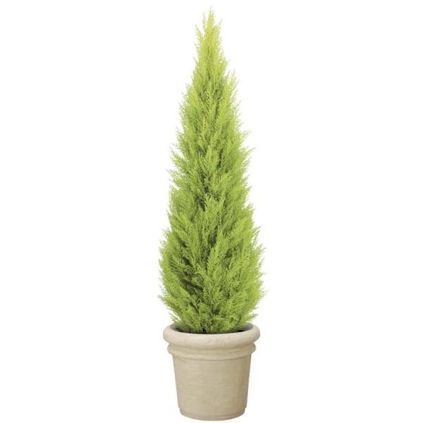 Sale 81 Off 150cmゴールドクレストツリー プラスチック 自立型 ゴールドクレストのフェイク 人工樹木 ポット 容器 は別売りです 屋外対応 Wantannas Go Id