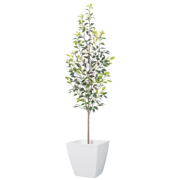 フェイクグリーン リーフ ツリー 人工観葉植物 屋外対応 フィカスツリー フィカス ベンジャミン ツリー 【法人様限定】 160cmフィカスツリー プラスチック  フェイクグリーン 人工樹木  《ポット 容器 は別売りです》 屋外対応