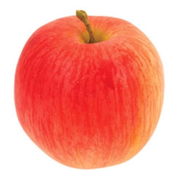 フジ VF1220  食品サンプル フェイクフード ディスプレイ フルーツ りんご 林檎 アップル｜decorationlabo