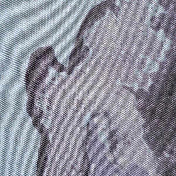 柄シャツ リーフ柄 枝葉柄 くすみブルー ボタニカル柄 水墨画風 ぼかし柄 長袖 長袖シャツ オーバーサイズ 衣装 個性的 春服 夏服 秋服 冬服 |  | 06