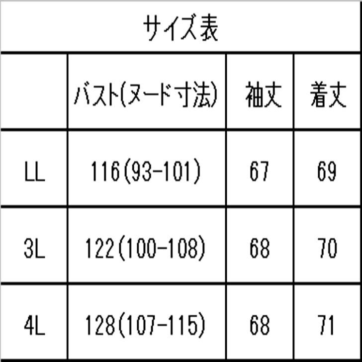 日本製 総刺しゅう ブラウス ホワイト系 L・LL・3L 送料無料 20代 30代 40代 50代 60代 70代 80代 AJ128 | ブランド登録なし | 05