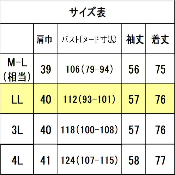 日本製 綿100％ プリント ブラウス 花柄 LL 送料無料 40代 50代 60代7 0代 80代 レディース ミセス シニア 百貨店品質 楽ちん 長袖  13号 AJ598 | ブランド登録なし | 16